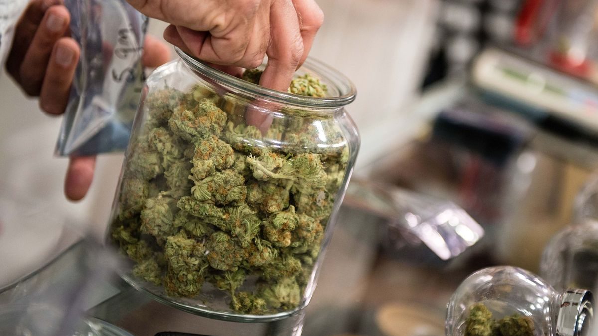 What You Need To Know Before You Buy weed Canada