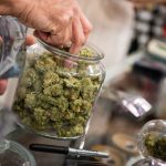 What You Need To Know Before You Buy weed Canada